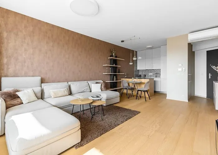 Panorama Castle And Danube View *